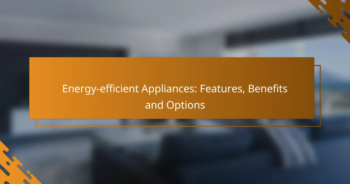 Energy-efficient Appliances: Features, Benefits and Options