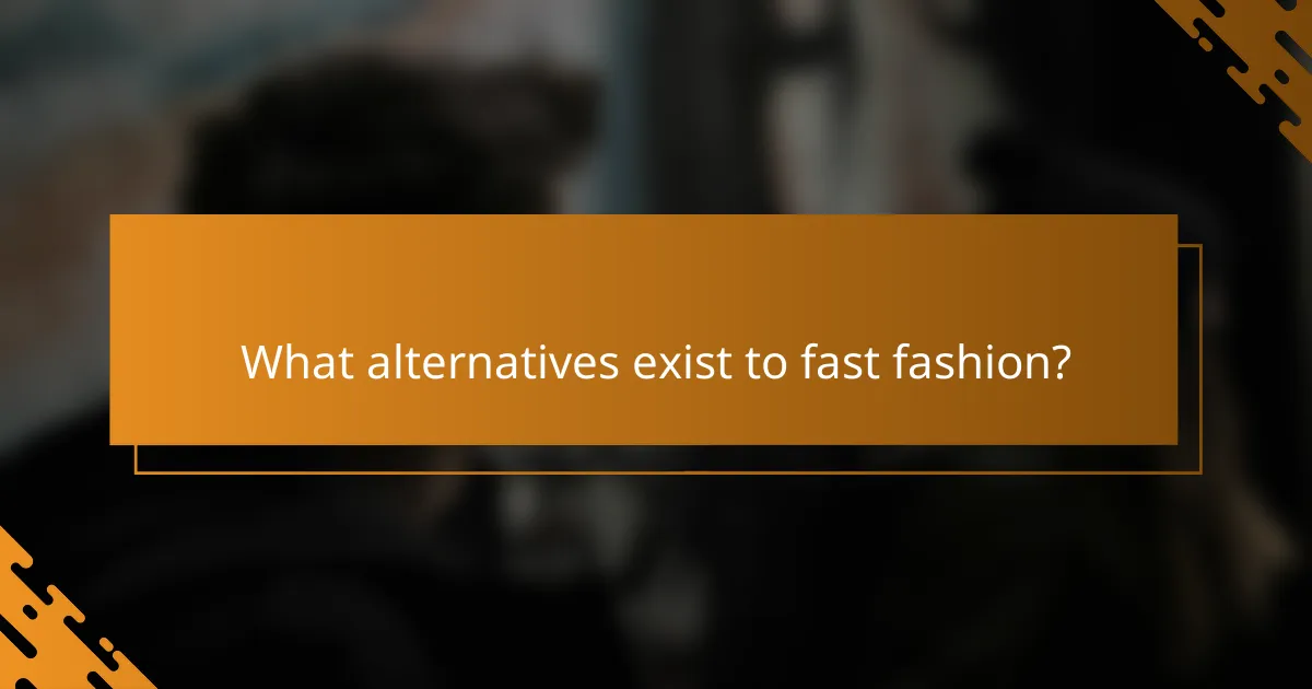 What alternatives exist to fast fashion?