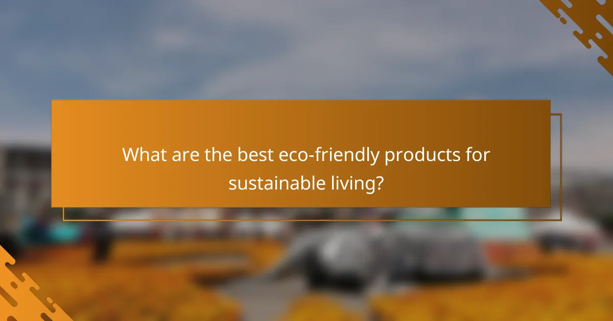 What are the best eco-friendly products for sustainable living?