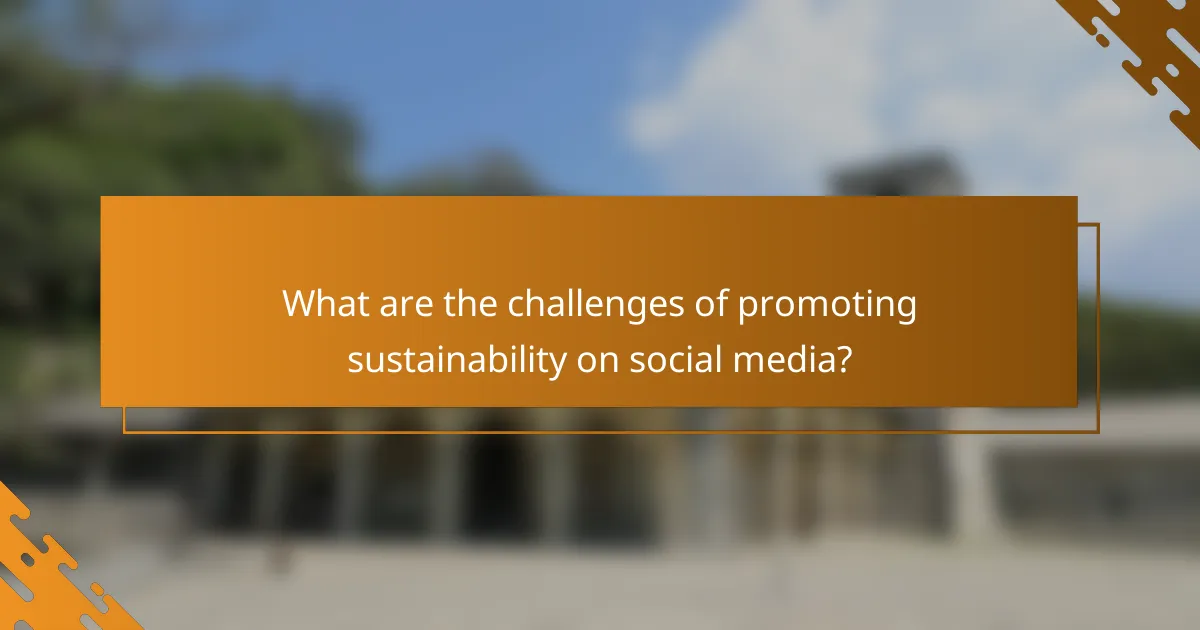What are the challenges of promoting sustainability on social media?