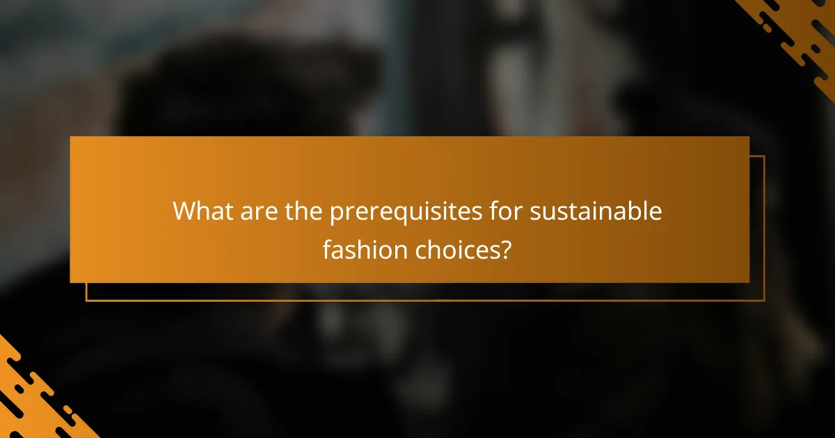 What are the prerequisites for sustainable fashion choices?