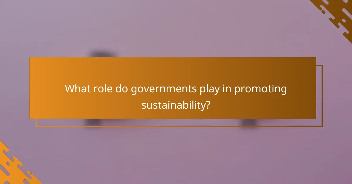 What role do governments play in promoting sustainability?